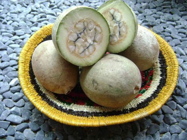 Jagua Tattoo Gel Tubes - Nature's Body Art