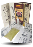 Nature’s Body Art Henna Kit - Nature's Body Art