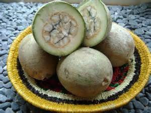 Pure Jagua (Genipa Americana) Liquid Juice Extract - Nature's Body Art